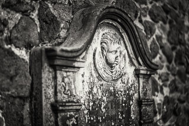 Photostream image 85