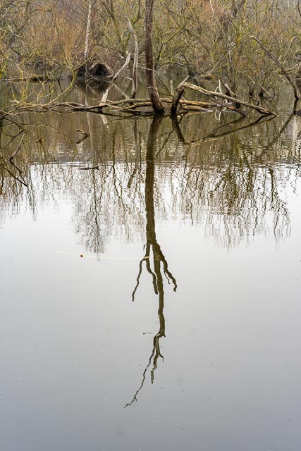 Photostream image 78