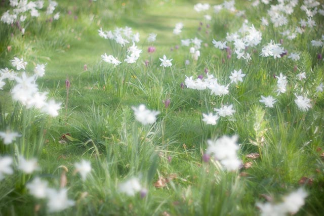 Photostream image 59
