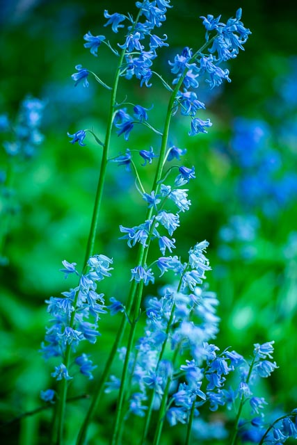 Photostream image 32