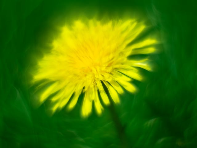 Photostream image 25