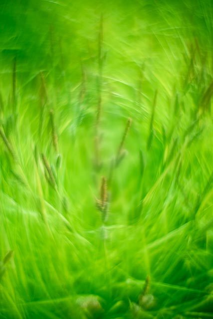 Photostream image 24