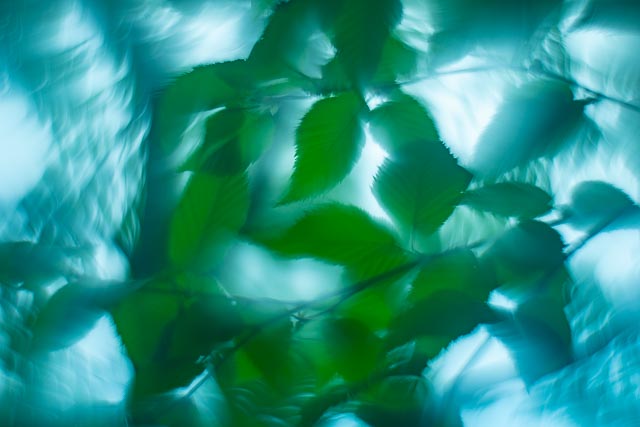 Photostream image 20