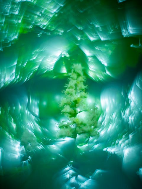 Photostream image 17