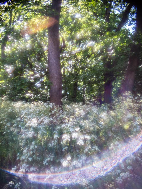 Photostream image 13