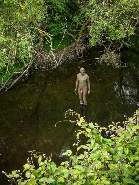 Photostream image 8