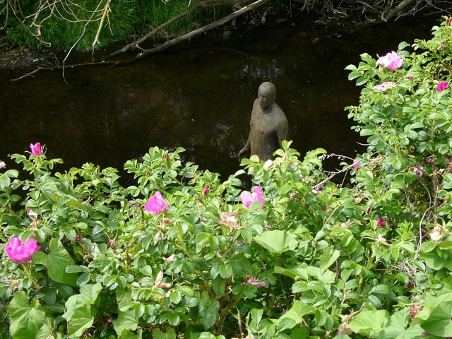 Photostream image 7
