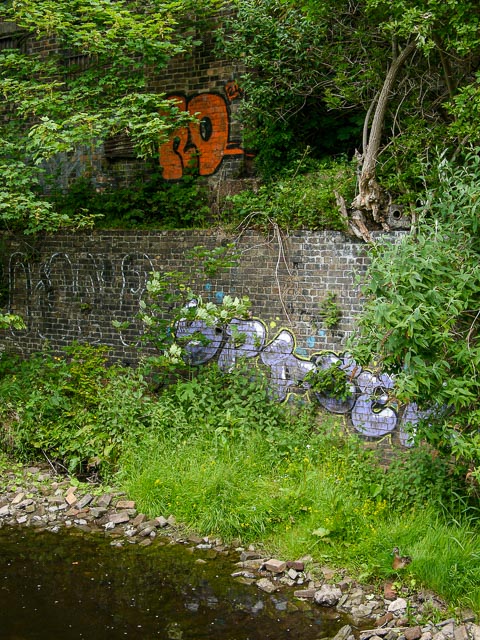 Photostream image 6
