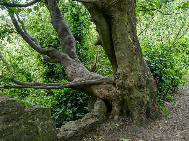 Photostream image 4