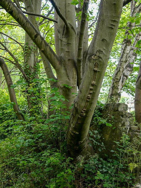 Photostream image 3
