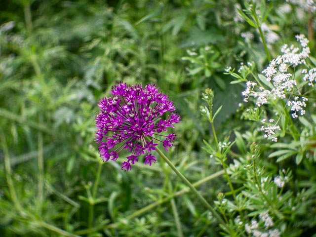 Photostream image 1