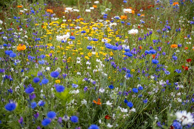 Photostream image 44