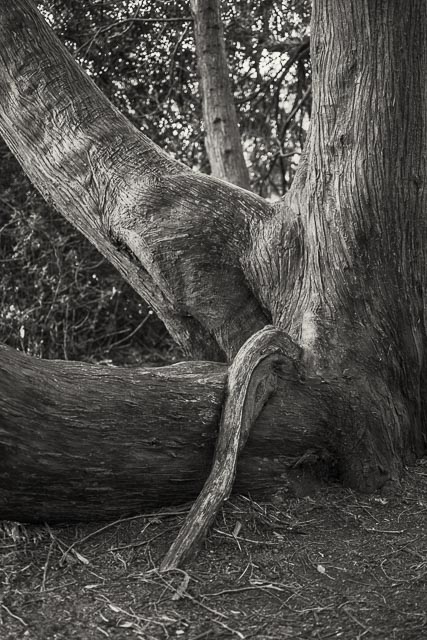 Photostream image 42