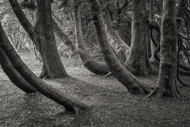 Photostream image 41