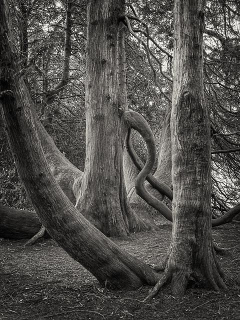 Photostream image 40