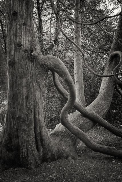 Photostream image 39