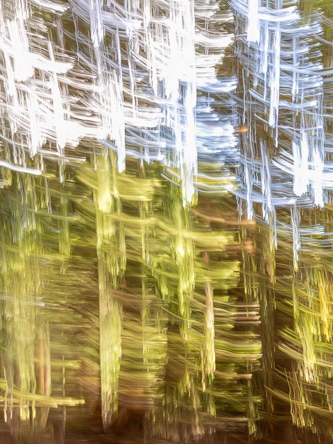 Photostream image 38