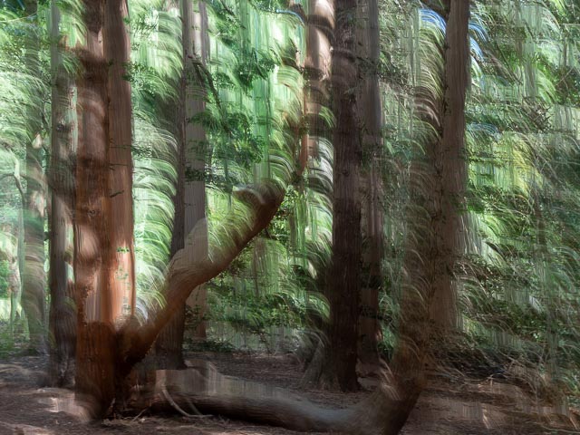 Photostream image 37