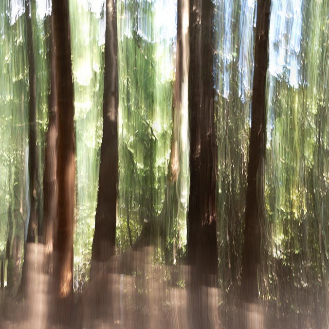 Photostream image 36