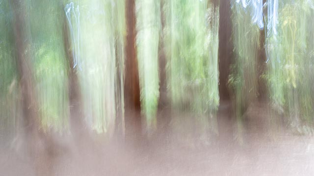 Photostream image 35