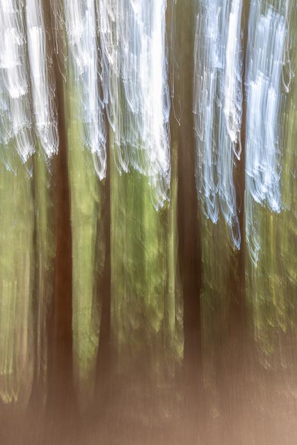 Photostream image 34