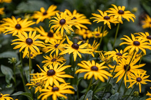 Photostream image 33