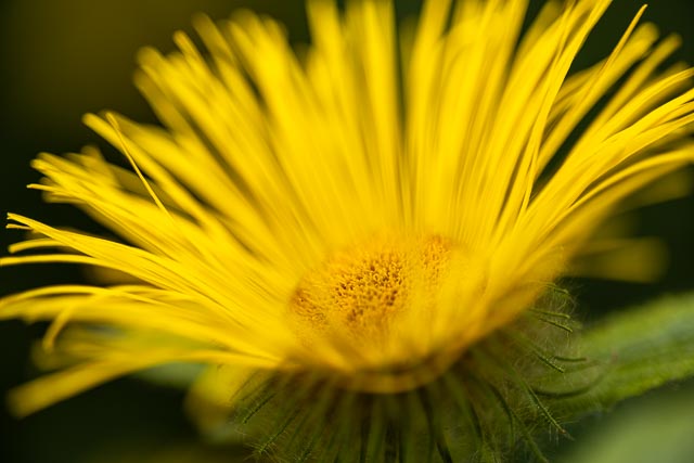 Photostream image 32