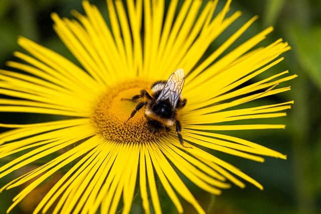 Photostream image 31