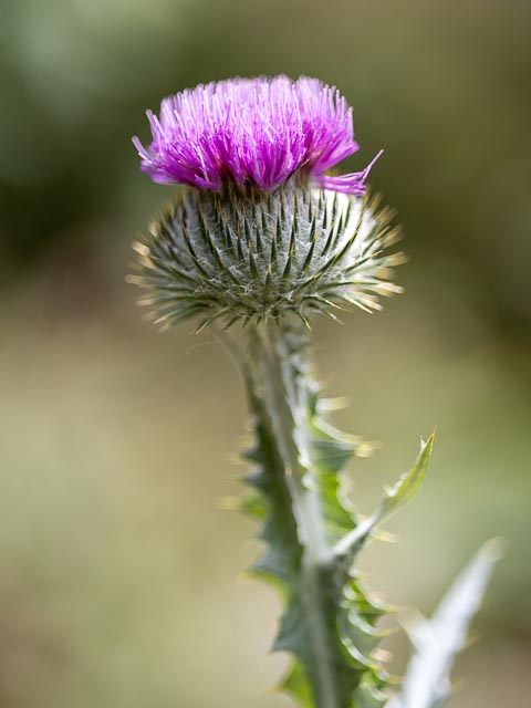 Photostream image 29