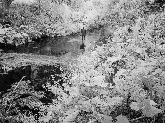 Photostream image 27