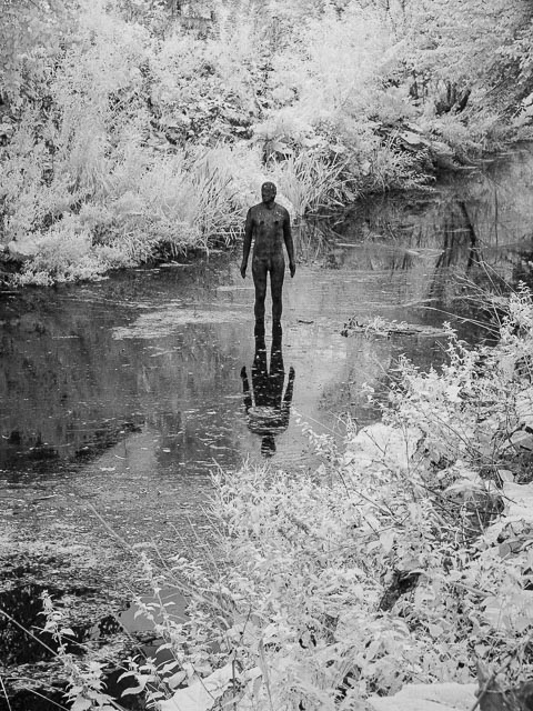 Photostream image 26