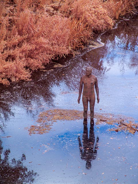 Photostream image 25