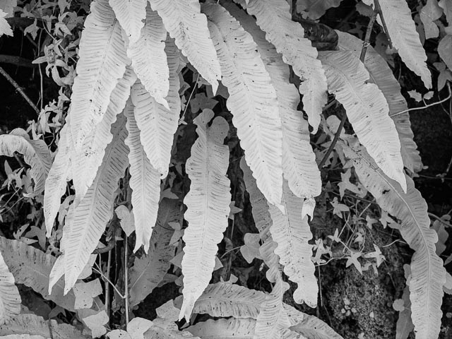 Photostream image 22