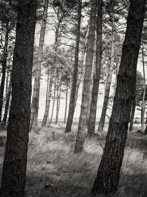 Photostream image 16