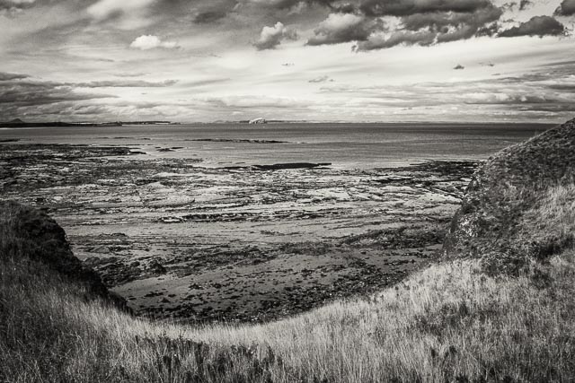 Photostream image 13