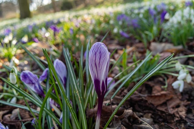 Photostream image 10