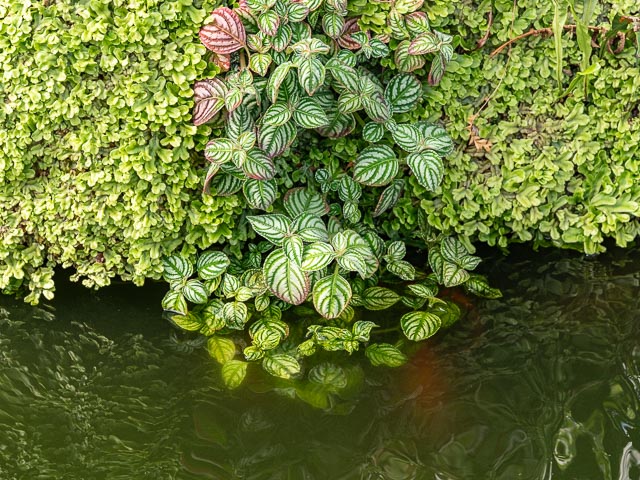Photostream image 41