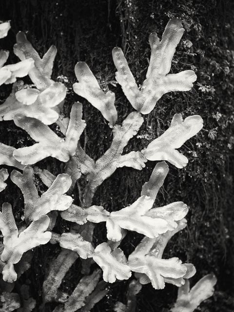 Photostream image 39