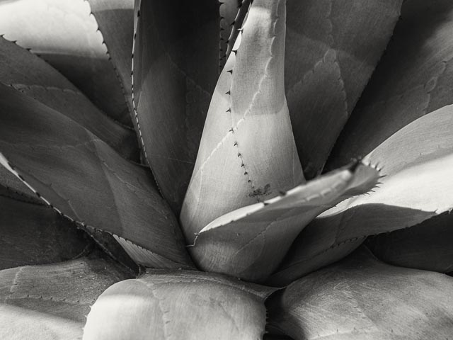 Photostream image 30