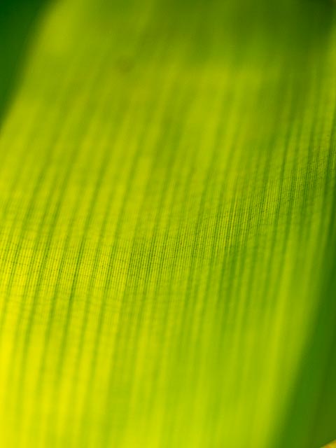 Photostream image 25
