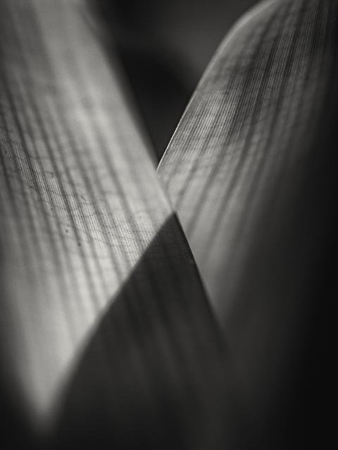 Photostream image 24