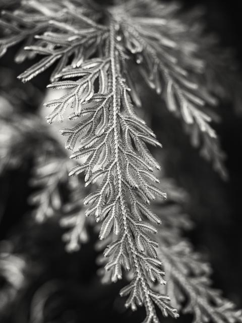 Photostream image 23