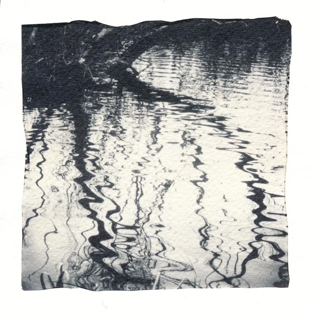 Emulsion lift print made using black and white film