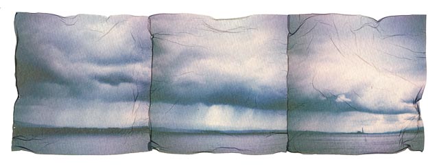 1st example Polaroid emulsion lift triptych print
