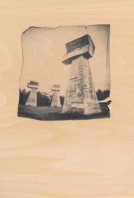 Emulsion lift print using plywood istead of paper