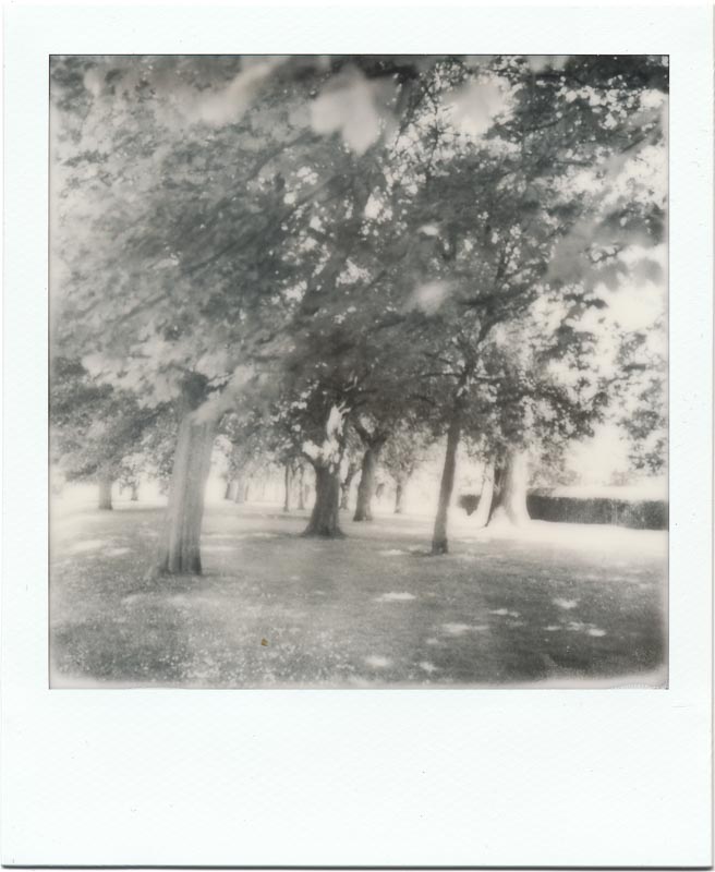 PX100 Silver Shade Cool 1
