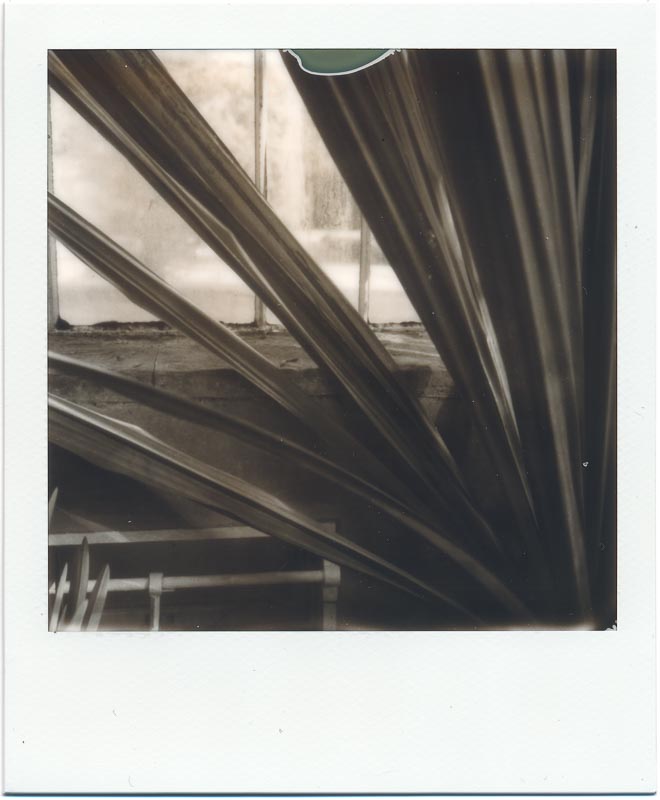 PX100 Silver Shade Cool 3