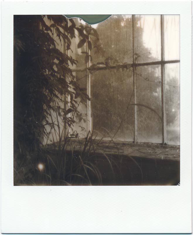 PX100 Silver Shade Cool 4