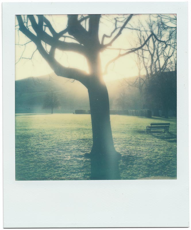 Impossible SX-70 Color 5
