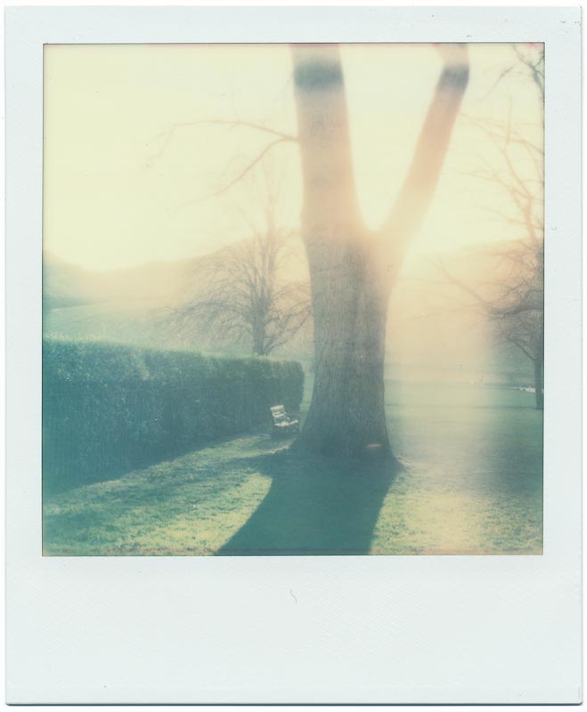 Impossible SX-70 Color 6